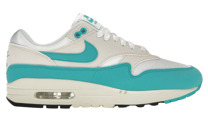 Nike Air Max 1 Dusty Cactus