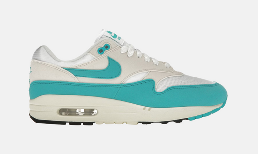 Nike Air Max 1 Dusty Cactus
